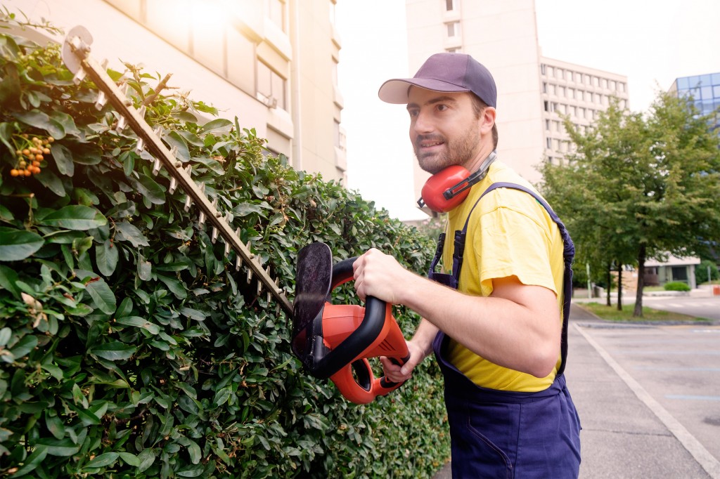 Reinigungsfirma Dresden Gartenpflege Rasenpflege